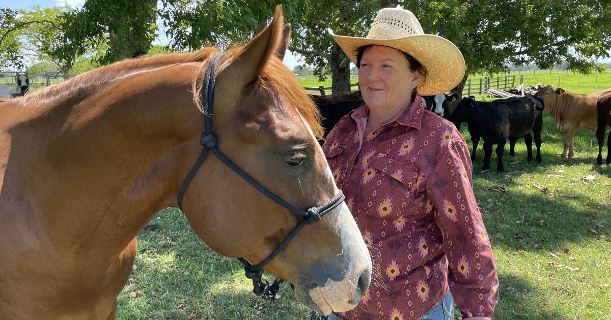 Low stress cattle handling just a game for these keen weaners | The Land