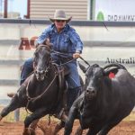 BTS Cavalier gets into the Christmas spirit | Queensland Country Life