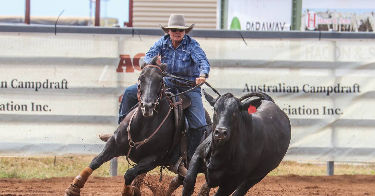 Campdrafting reaches new heights