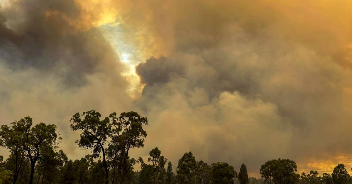 Pilliga fire disaster assistance now available