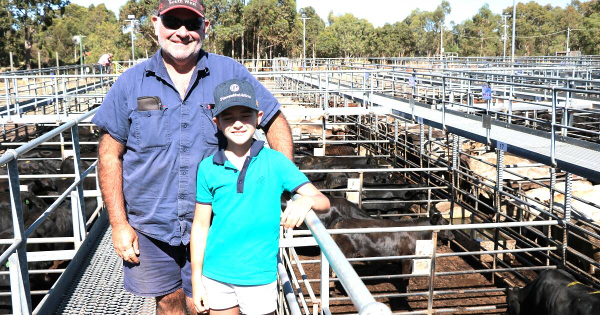 Beef steers sell to a high of $1218