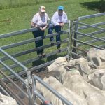 Ian Dahl – a cattle trader for the past 63 years