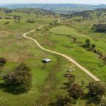 Aerial shooting gets the go ahead to control Kosciuszko wild horse numbers