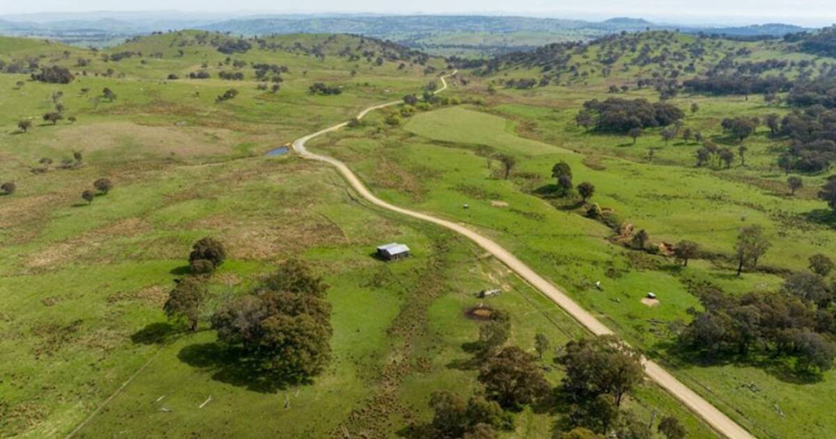 High rainfall grazing country with potential wind farm | Video