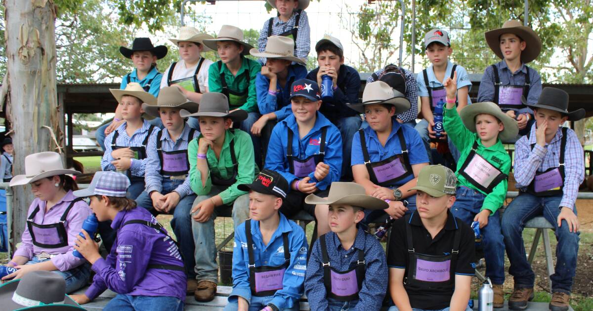 Simmental Australia beefs up the next generation at Pittsworth Showgrounds | free content | Queensland Country Life