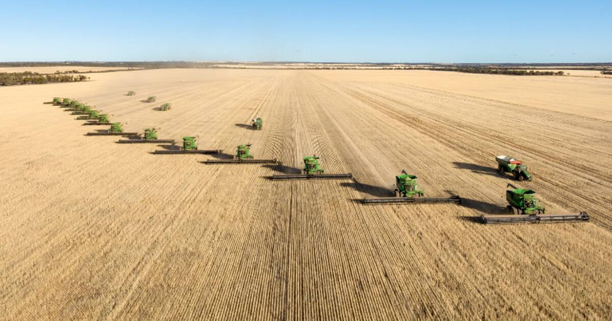 Major 192,629 acre Western Australian grain farm hits the market