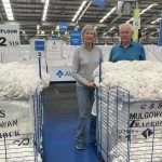 Pain relief keeps the Merino wool industry forging ahead | Videos