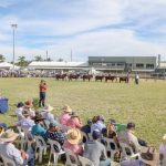 Recruitment: Why seek a career in the meat and livestock industry?