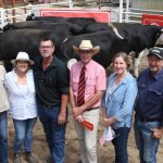 Weaner steers make 325c at Silverdale