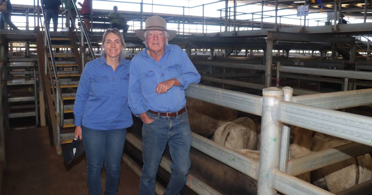 Beef steer lines sell to $1028 at Muchea Livestock Centre