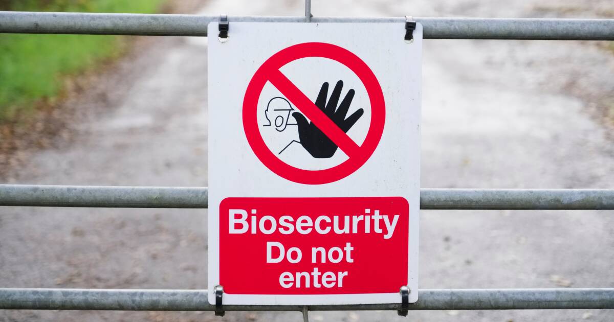 Training on offer from Biosecurity Queensland ahead of 2024