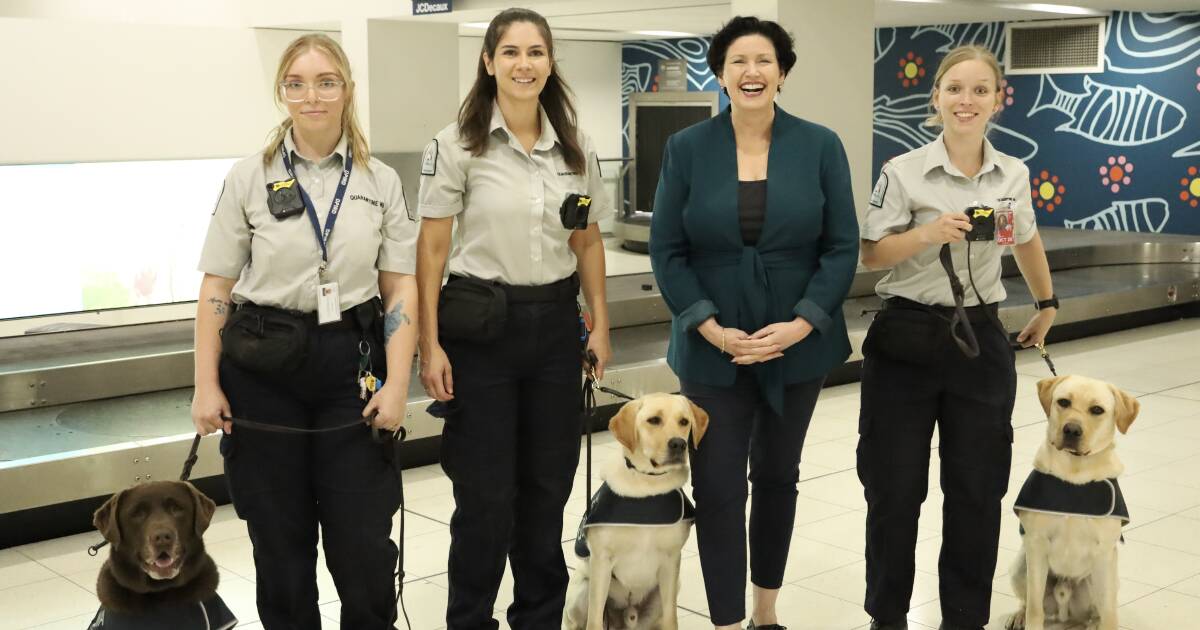 Dogs to sniff out biosecurity threats over festive period