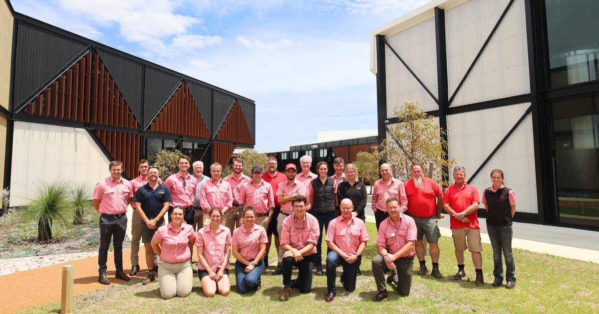 Elders agronomy team farewells 2023 and preps for 2024