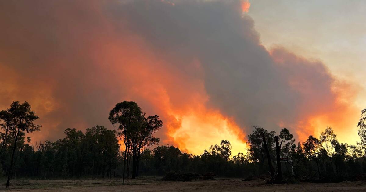 Duck Creek Pilliga Forest bushfire remains uncontained after overnight rain