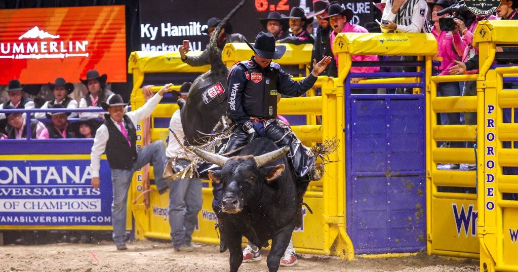 Ky Hamilton dominates PRCA bull riding world standings | North Queensland Register