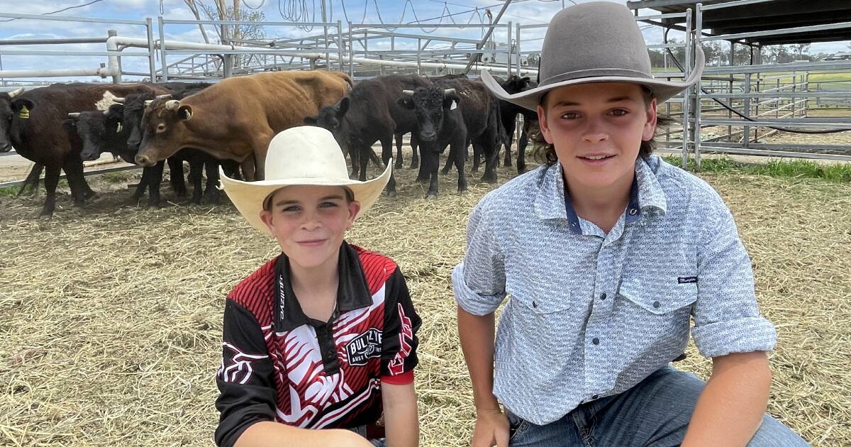 Best learnt on the back of a mini bull: Future rodeo champions offer a reason to chase their dream. | The Land