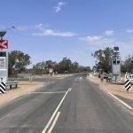 View From the Paddock: A gate is not a gate in the eyes of sheep | Queensland Country Life