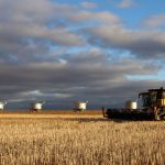 Burdekin cane growers to meet Water Minister Glenn Butcher to discuss rising groundwater issues | North Queensland Register