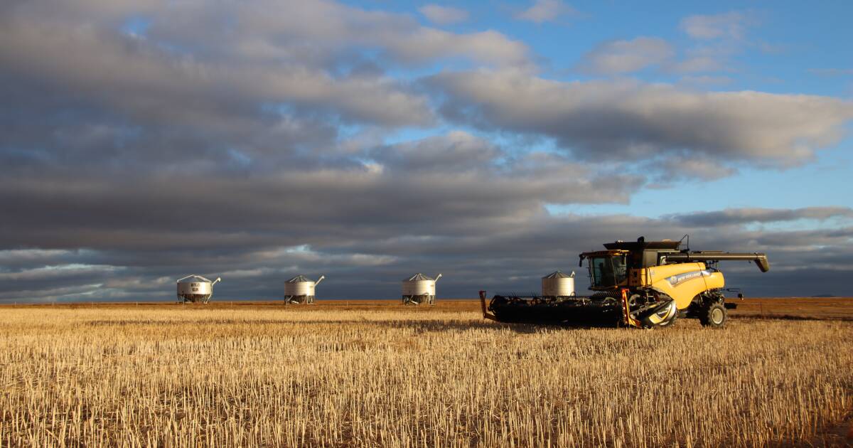 Harvest deliveries still rolling in