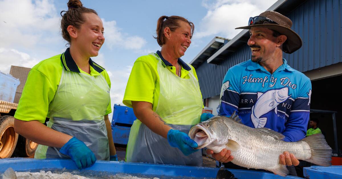 Humpty Doo Barramundi: Building a reliable Australian fish farm | North Queensland Register