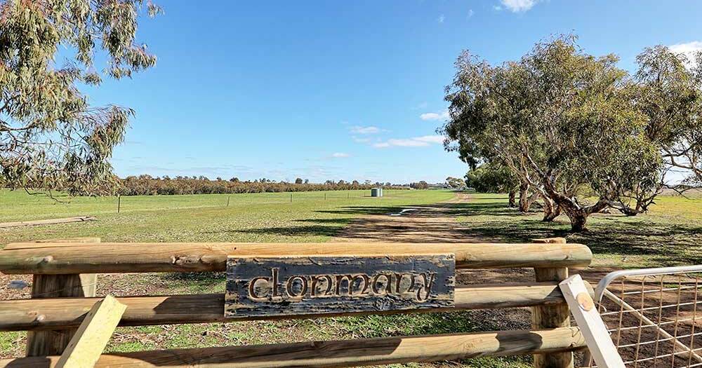 Crops and stock can optimise returns in Upper Great Southern