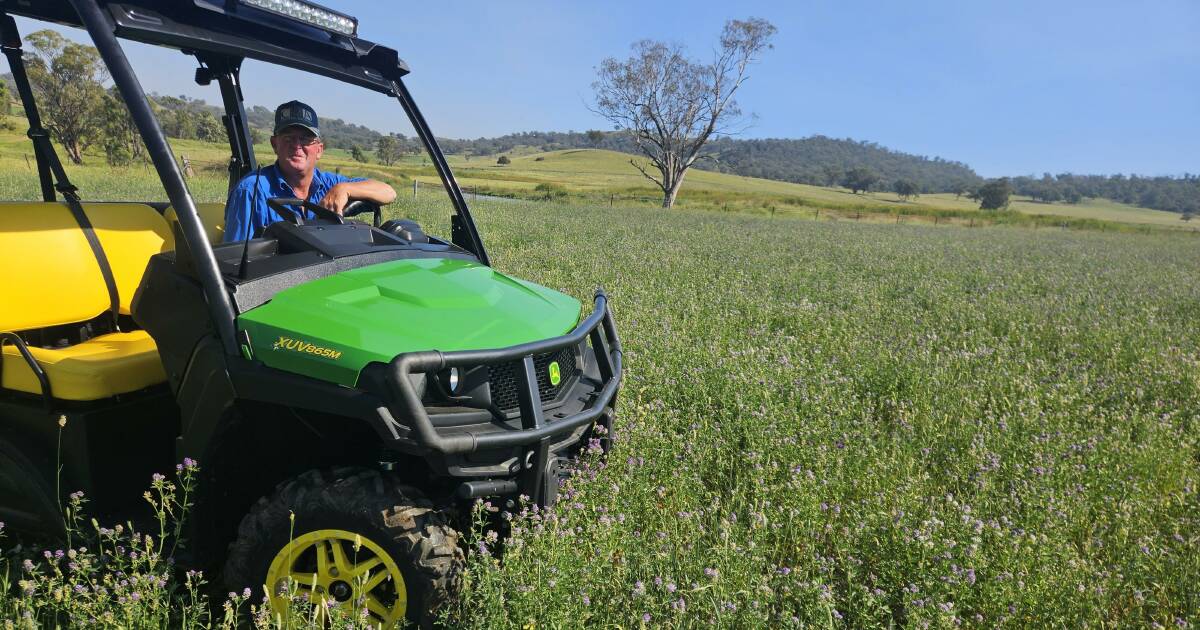 Key grazing practices for pastures