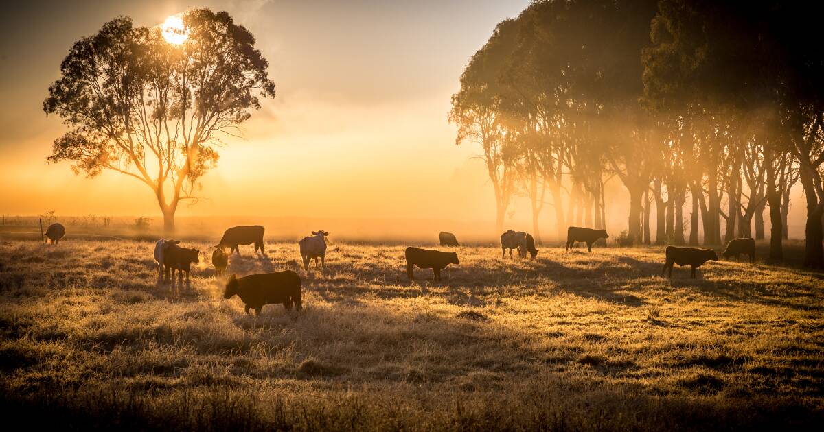 Carbon for Farmers vouchers can help with developing carbon farming plans