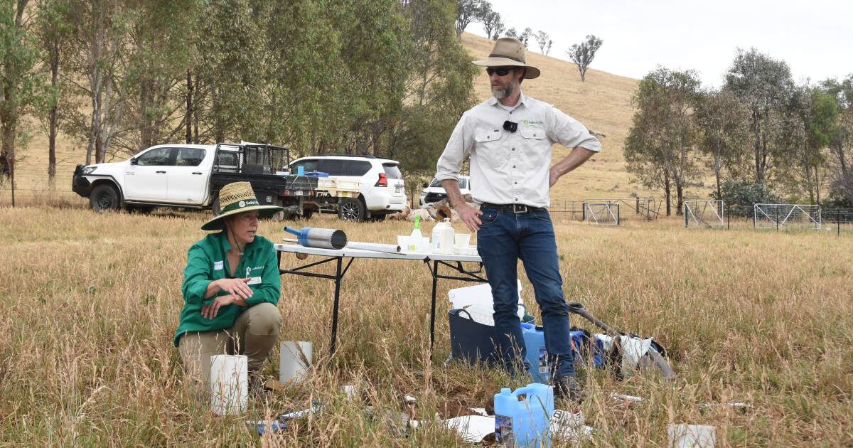 Five simple soil indication steps to apply to your paddocks