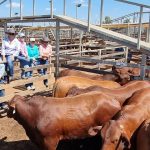 Peter Rundle refutes lie call from Jackie Jarvis | Farm Weekly