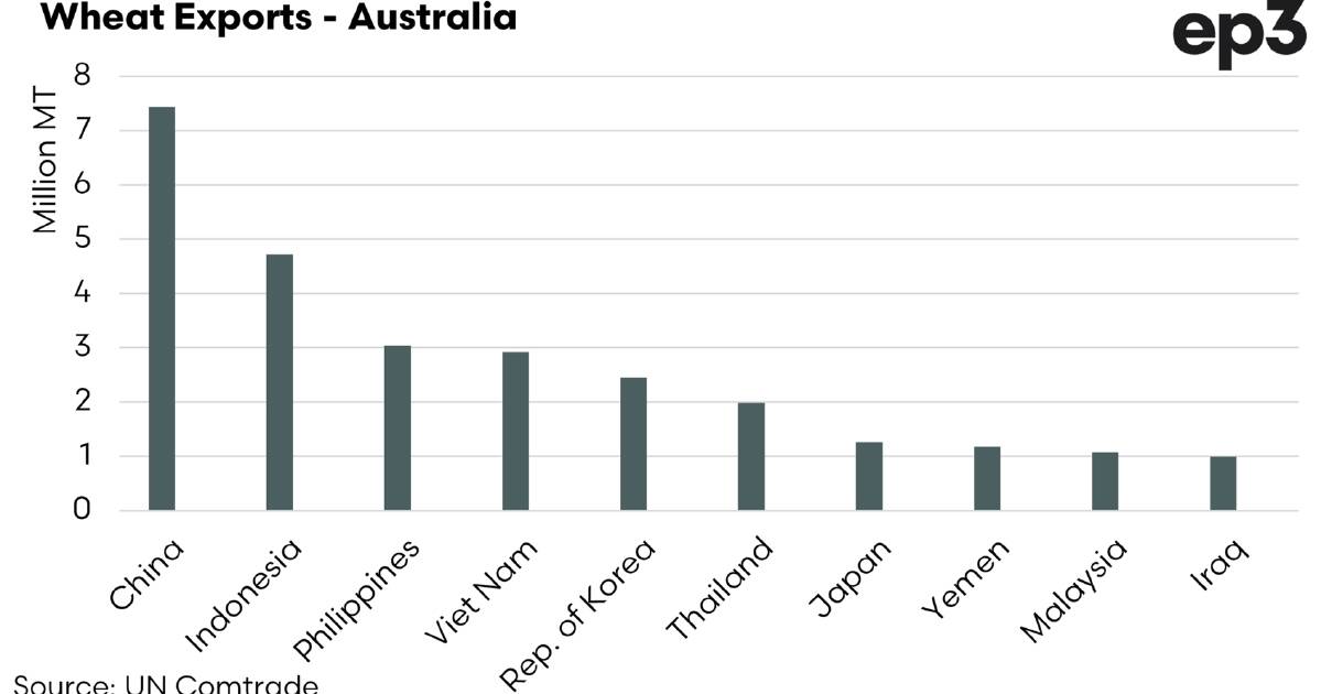 Who competed for grain in 2023? We crunch the data.