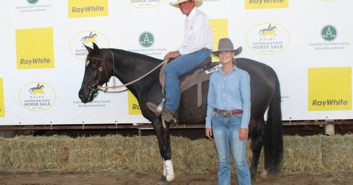 Winning campdraft mare sells for high price at Dalby