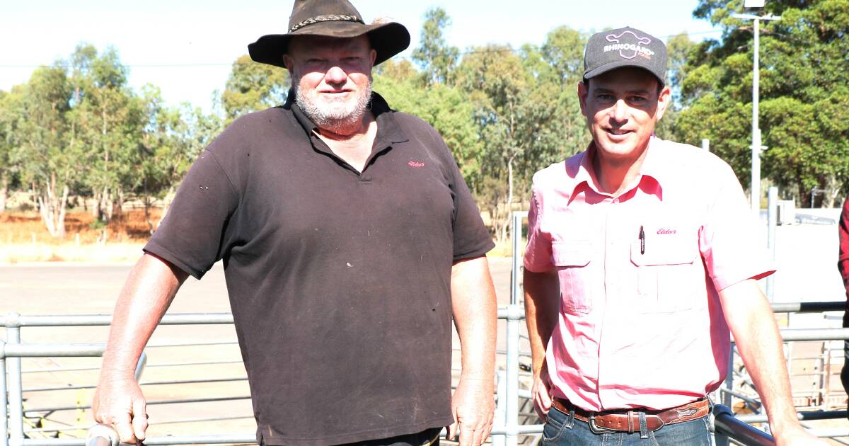 Steers make $1117 at weaner sale