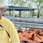 WANT Cotton opens NT cotton gin at Katherine | North Queensland Register