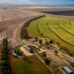 COP28 wraps up without call for meat reduction