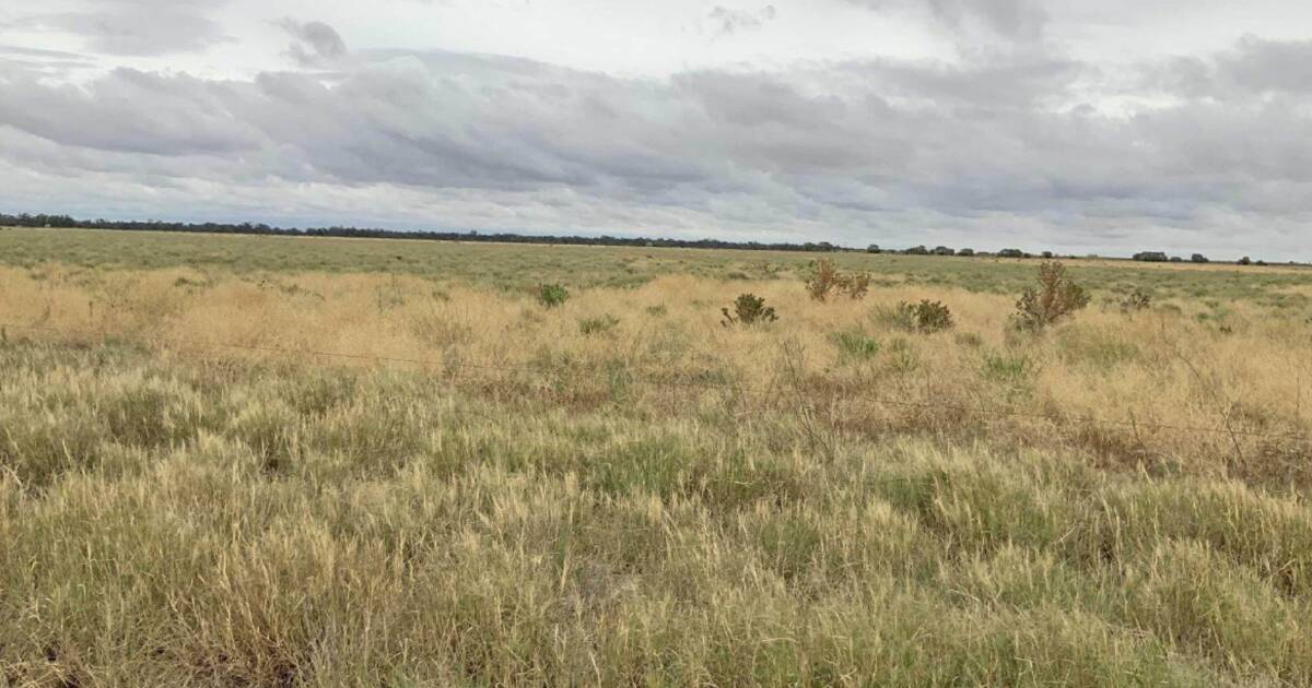 Inverleigh offered with 1300 acres of laser-levelled country