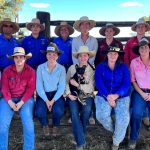 What's behind Wagga Wagga saleyards' record-breaking yardings?