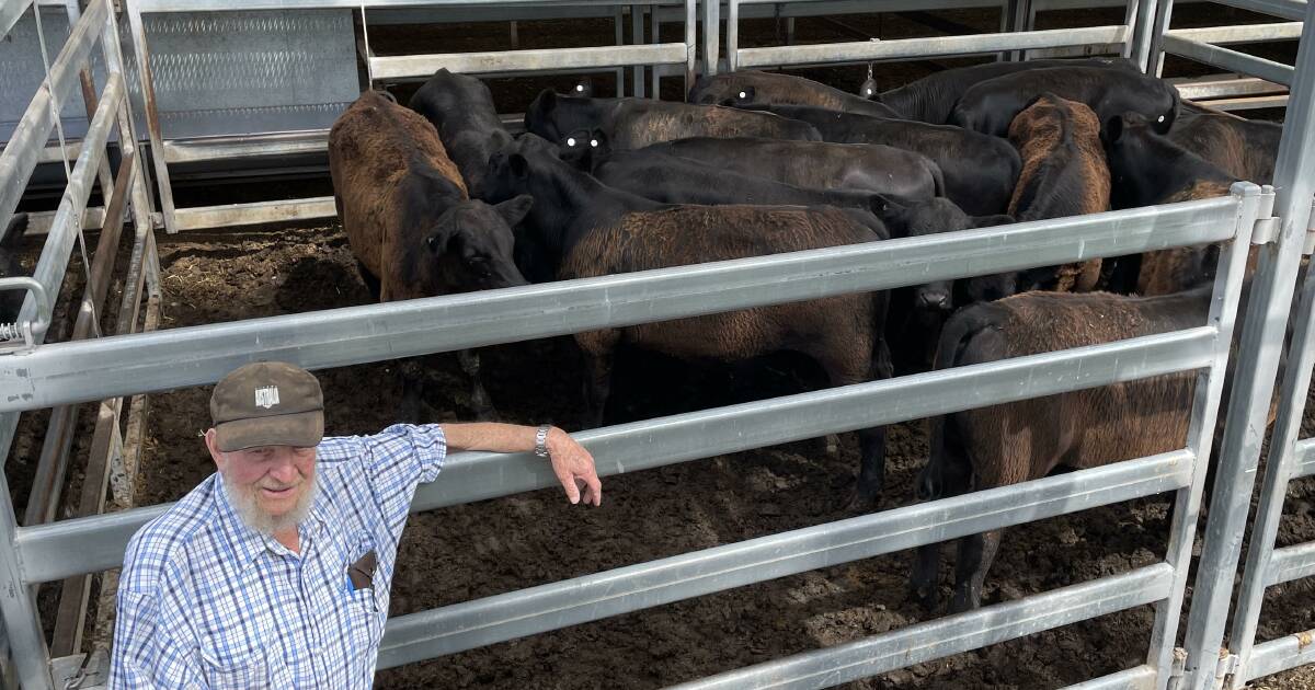 Cows with calves surge to $1820 at Carcoar sale