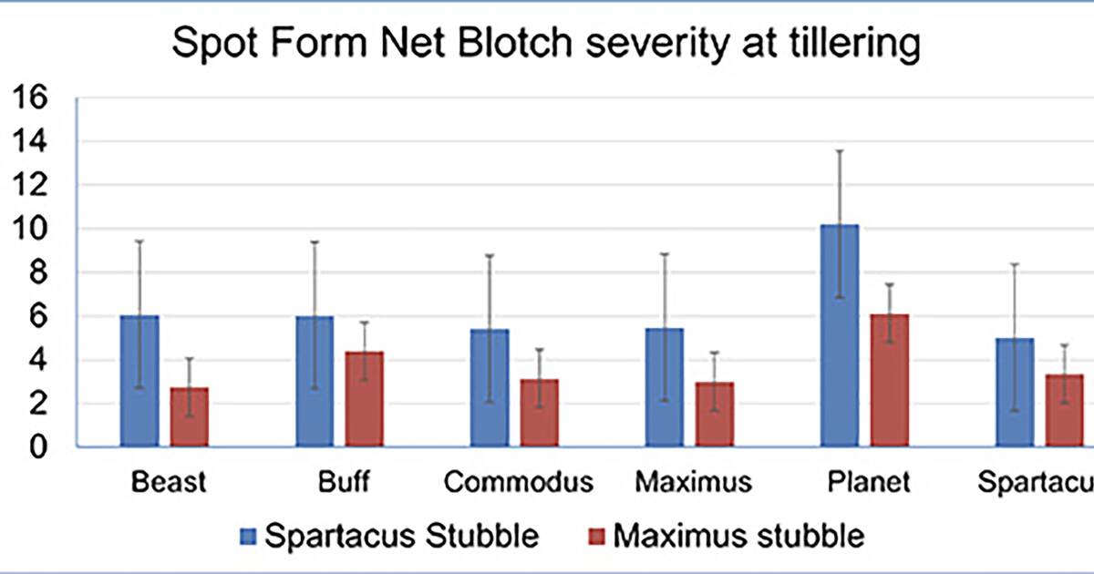 Getting a handle on handling blotch in low rainfall zones