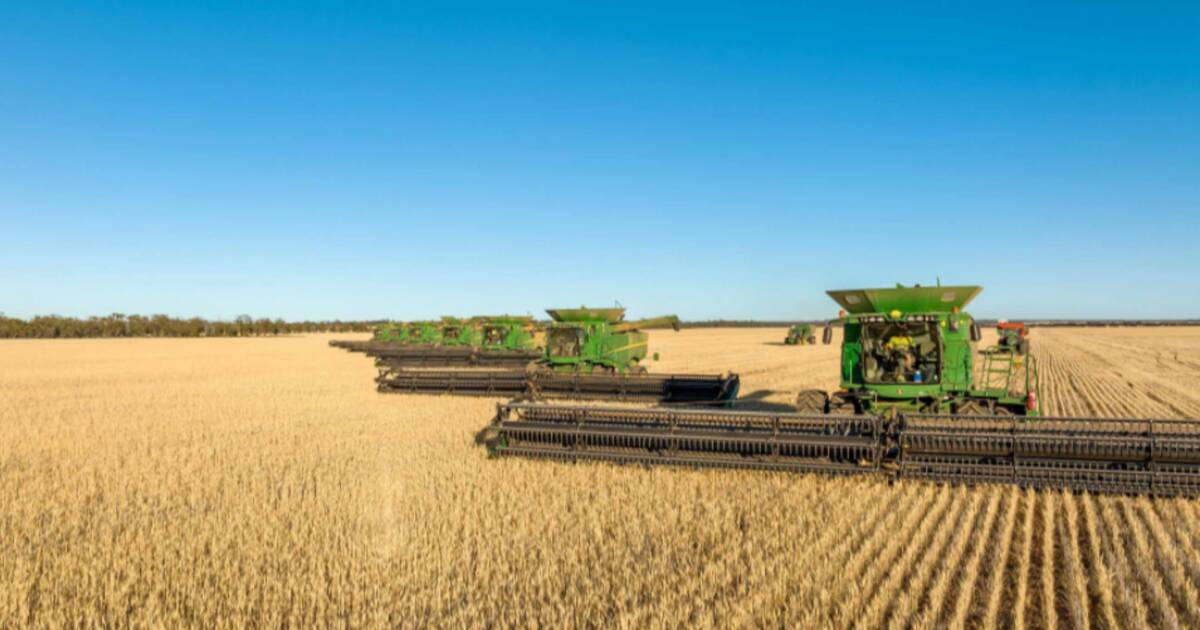 WA's massive Merredin Farms for sale: How to grow 100,000t of grain