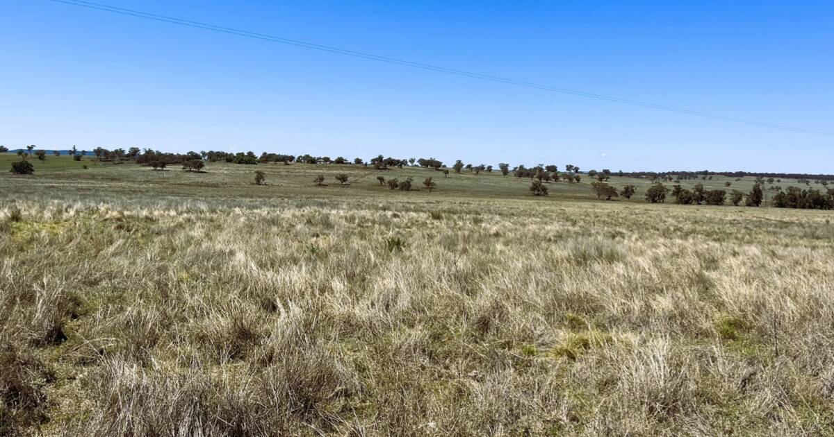 Versatile central west property sold for $1597/acre | Video