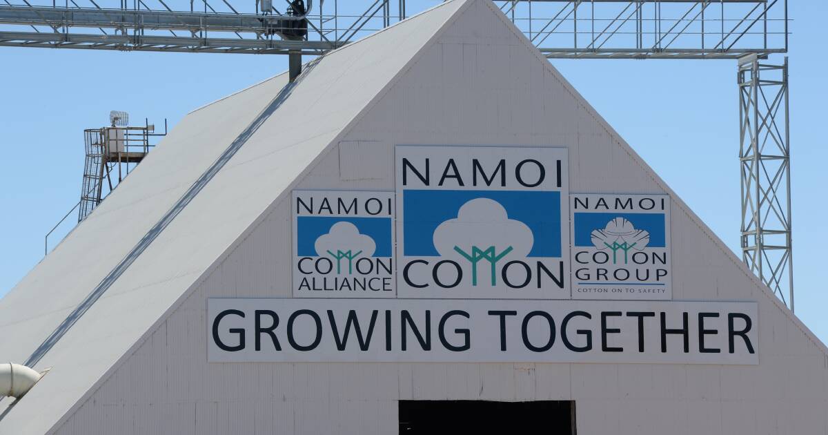 Is Louis Dreyfus' $105m Namoi Cotton takeover bid too cheap?