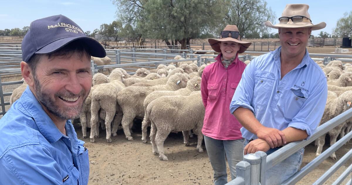 Pain relief keeps the Merino wool industry forging ahead | Videos