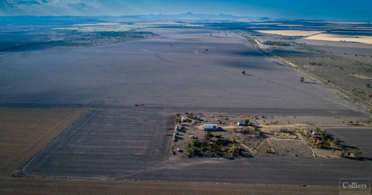 Update: Quality cropping, grazing country sold before auction | Video