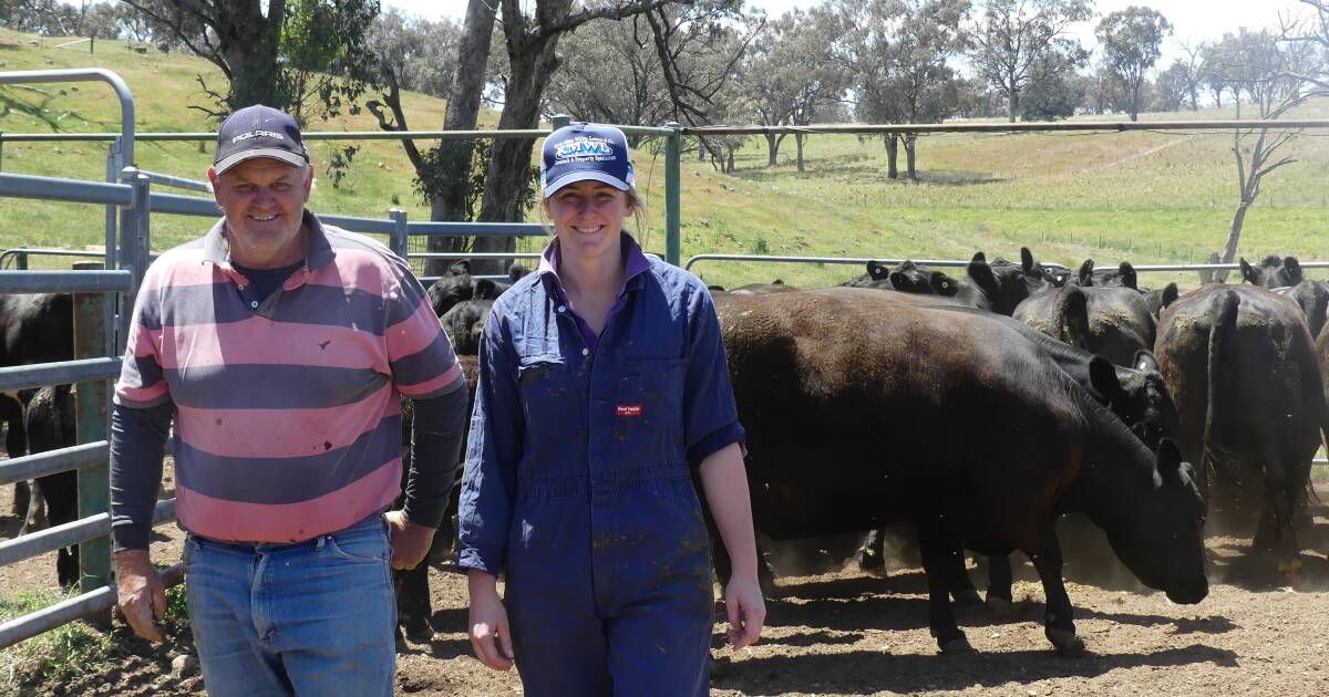 Major cattle operators get onboard with game-changing IVF technology