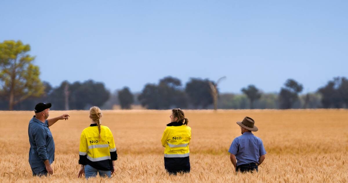 Massive Culcairn solar farm will be built despite farm disquiet