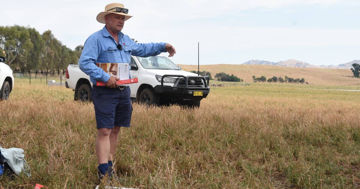 Ground cover a key for pasture management in drier times