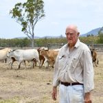 Casino saleyards remain closed after council rejects potential lease-holders | The Land