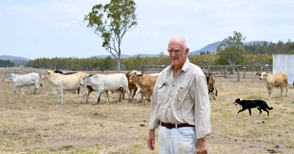 Ian Dahl – a cattle trader for the past 63 years