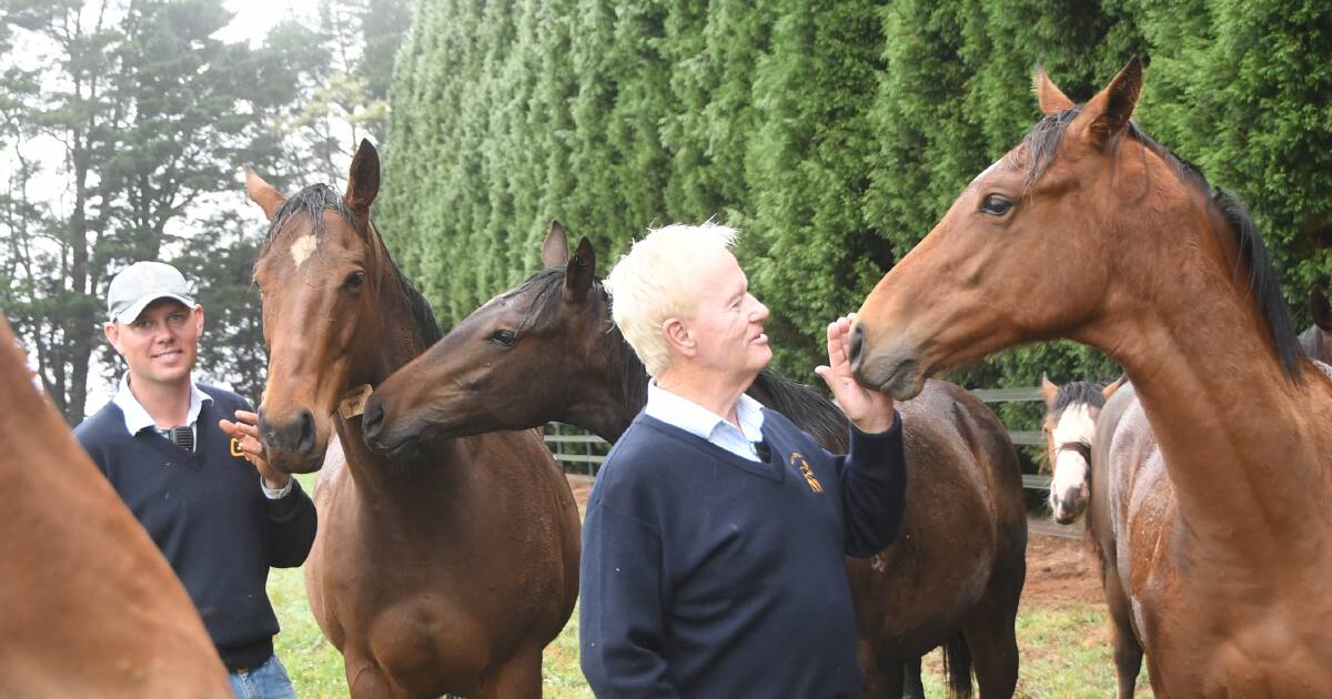 Silverdale Farm set for 2024 Magic Millions Yearling Sale | The Land