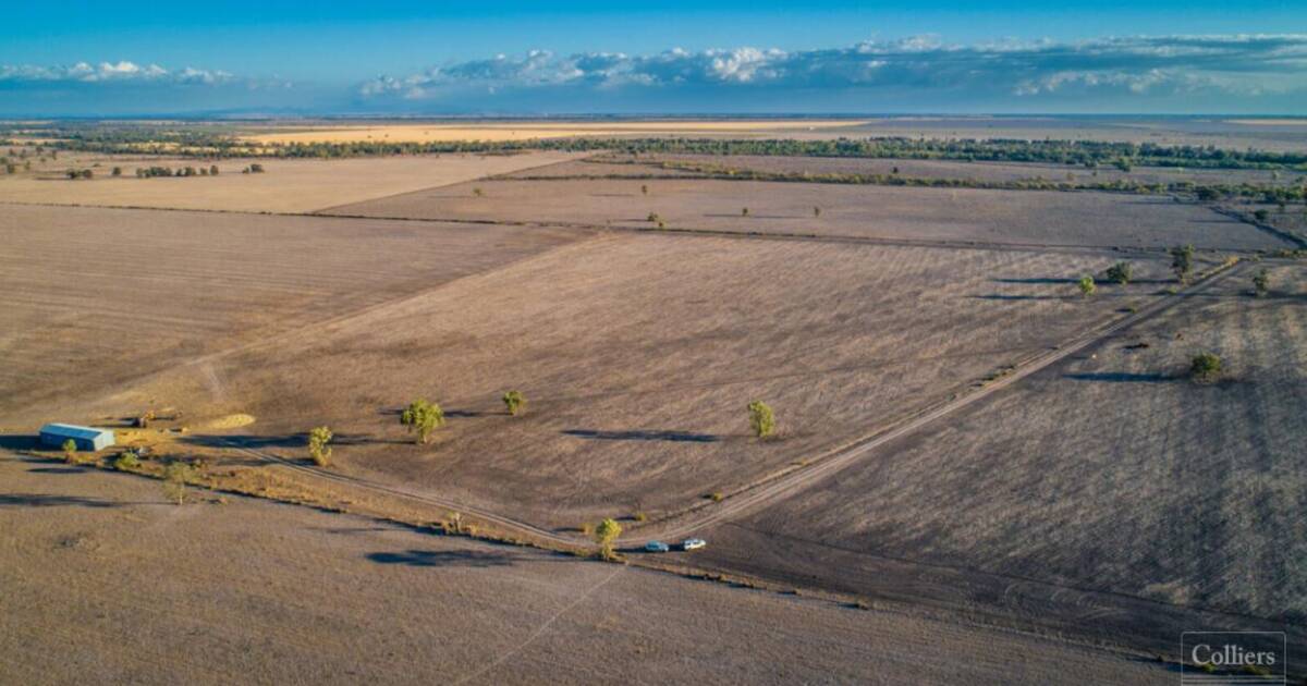 Nerang offers fertile black soil farming, creek frontage | Video